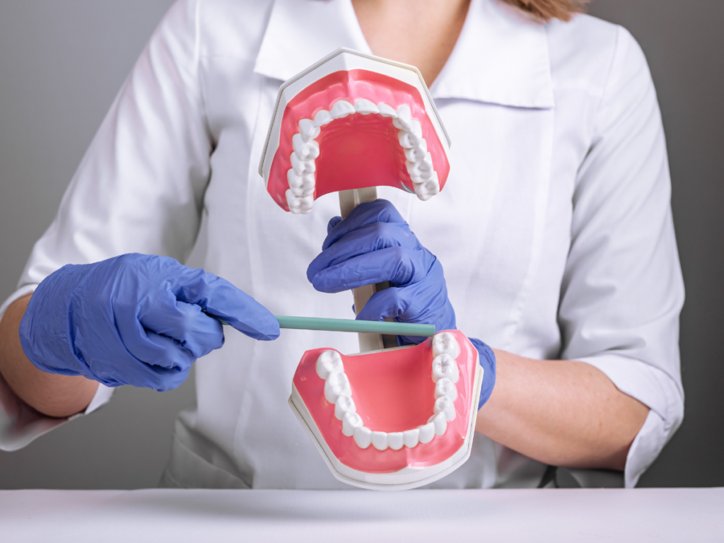 A dentist, holding a model of a wisdom tooth, is pointing to it